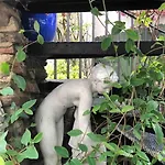Beautiful 2 Bedroom Garden Flat In Great Location Appartamento