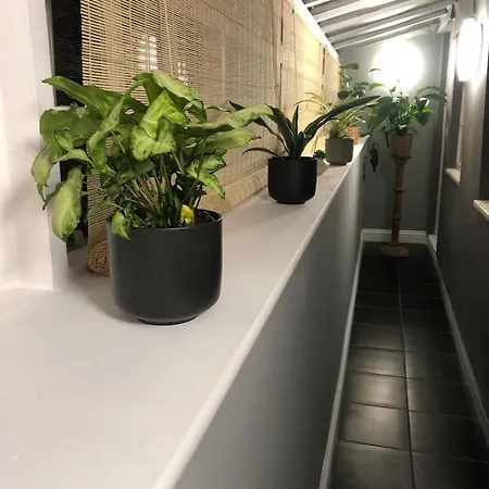 Apartment Beautiful 2 Bedroom Garden Flat In Great Location Bristol