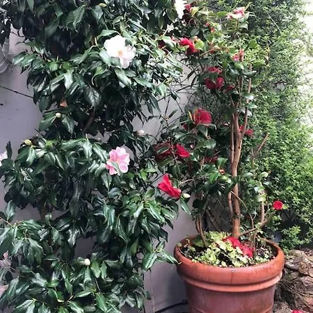 Beautiful 2 Bedroom Garden Flat In Great Location 布里斯托