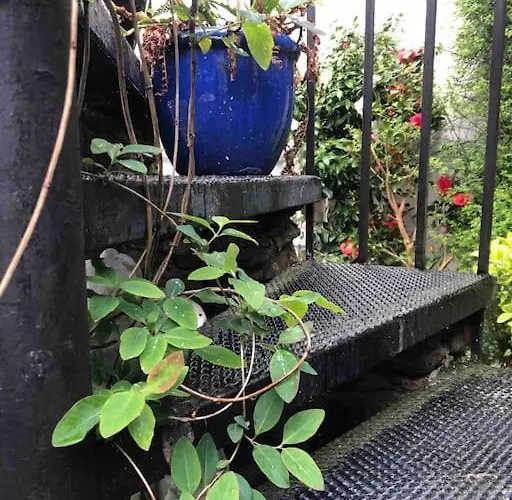 Apartament Beautiful 2 Bedroom Garden Flat In Great Location