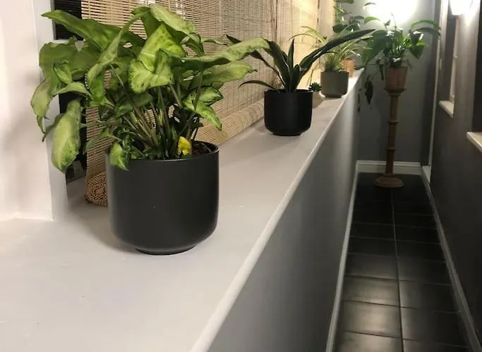 公寓 Beautiful 2 Bedroom Garden Flat In Great Location 布里斯托