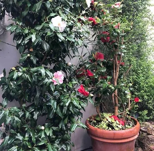 Beautiful 2 Bedroom Garden Flat In Great Location Bristol